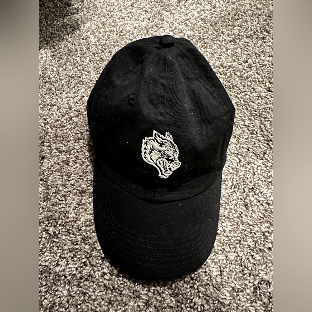 Darc Sport Wolves Dad Hat